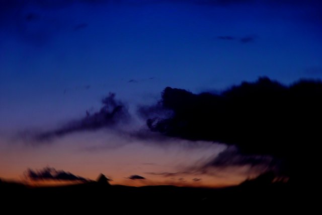 214_predator_tema effetto notte